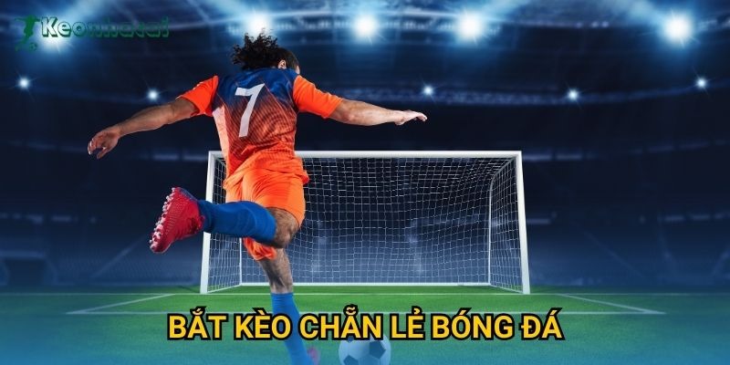 Một vài yếu tố đặc thù của loại hình chẵn lẻ
